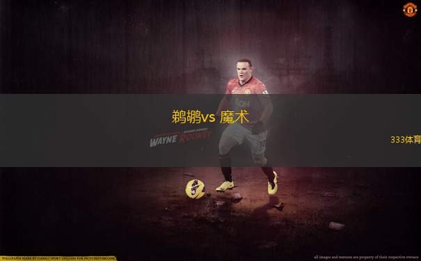鵜鶘vs 魔術(shù)(NBA)