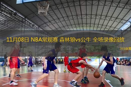 11月08日 NBA常規(guī)賽 森林狼vs公牛 全場(chǎng)錄像回放