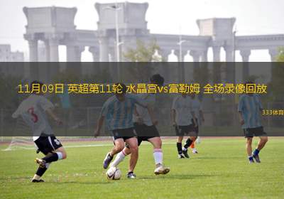 11月09日 英超第11輪 水晶宮vs富勒姆 全場(chǎng)錄像回放