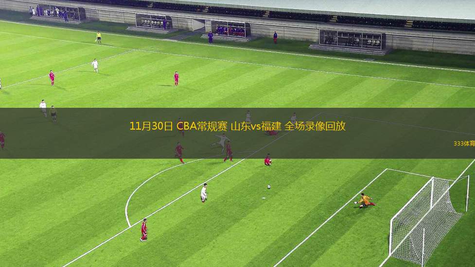 11月30日 CBA常規(guī)賽 山東vs福建 全場錄像回放