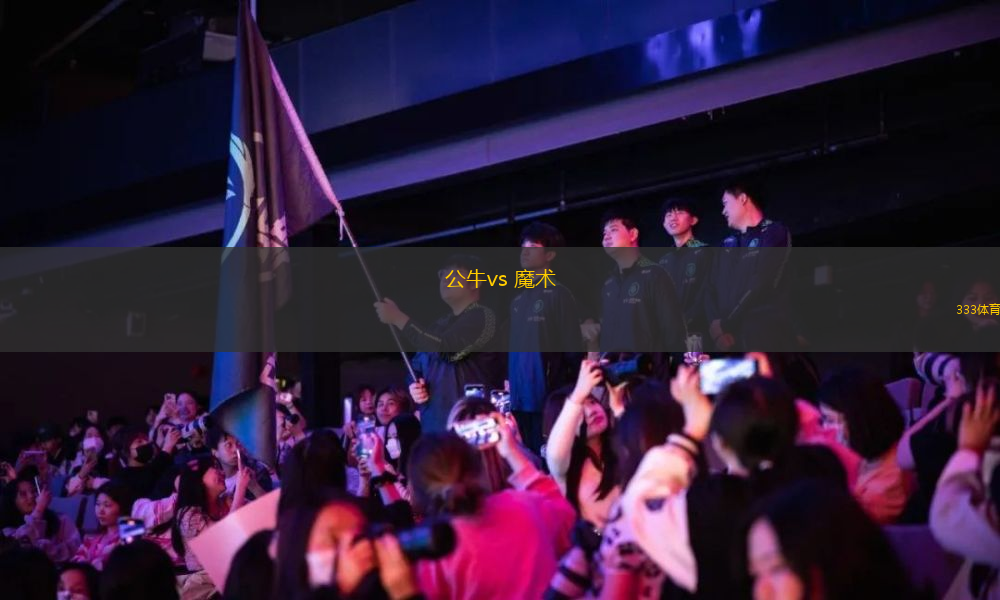 公牛vs 魔術(shù)(NBA)