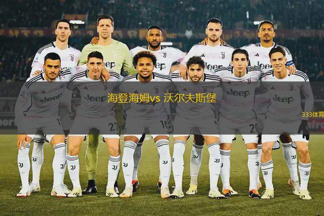 海登海姆vs 沃爾夫斯堡(德甲)