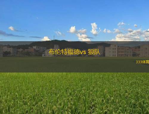 布倫特福德vs 狼隊(duì)(英超)
