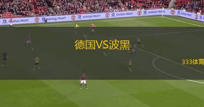 德國VS波黑