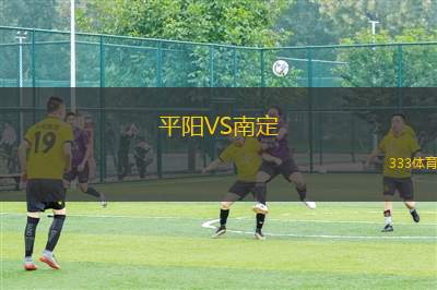 平陽VS南定