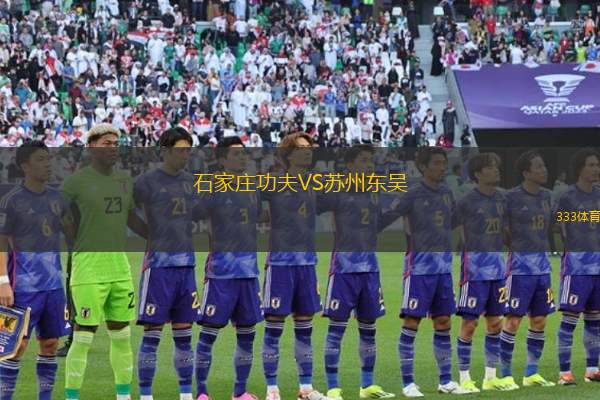 石家莊功夫VS蘇州東吳