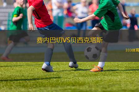 費(fèi)內(nèi)巴切VS貝西克塔斯