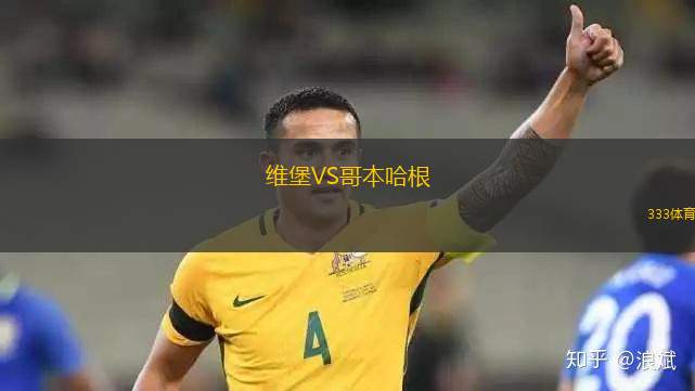 維堡VS哥本哈根