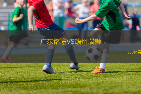 廣東銘途VS贛州瑞獅