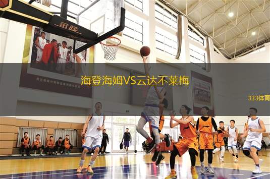 海登海姆VS云達不萊梅