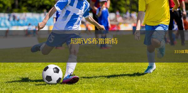 尼斯VS布雷斯特