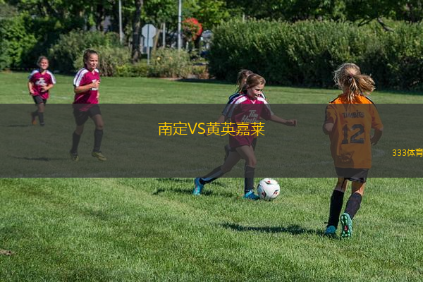 南定VS黃英嘉萊