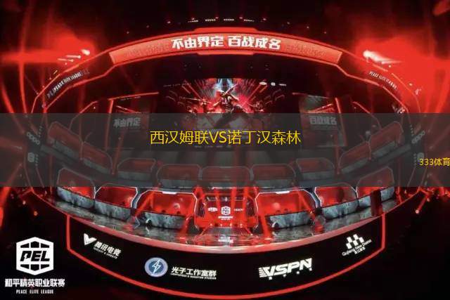 西漢姆聯(lián)VS諾丁漢森林