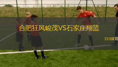 合肥狂風(fēng)峻茂VS石家莊翔籃