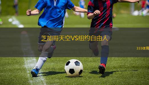 芝加哥天空VS紐約自由人