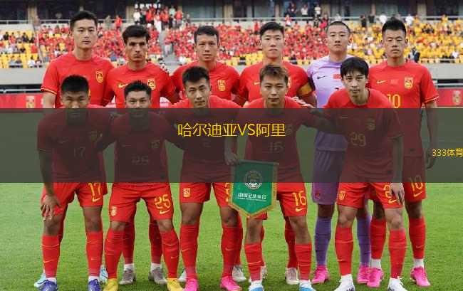 哈爾迪亞VS阿里