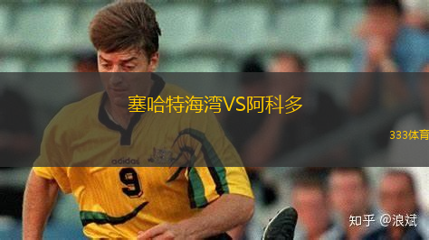 塞哈特海灣VS阿科多