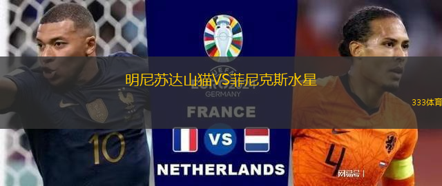 明尼蘇達山貓VS菲尼克斯水星
