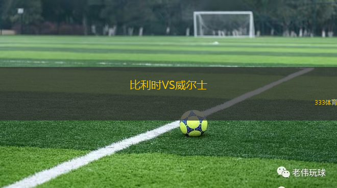 比利時(shí)VS威爾士