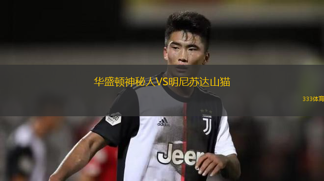 華盛頓神秘人VS明尼蘇達山貓