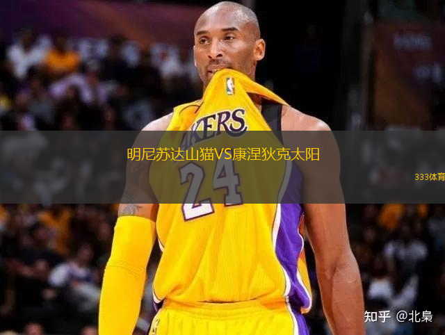 明尼蘇達山貓VS康涅狄克太陽