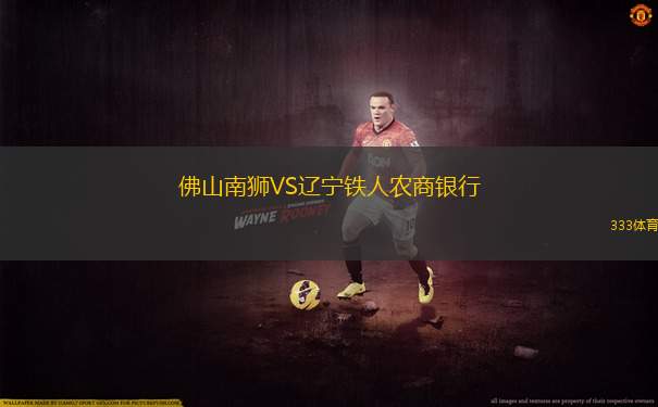 佛山南獅VS遼寧鐵人農(nóng)商銀行