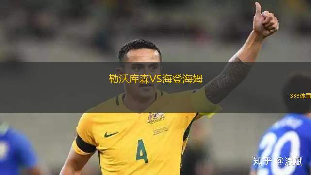 勒沃庫森VS海登海姆