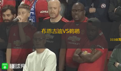 布恩吉迪VS鵜鶘
