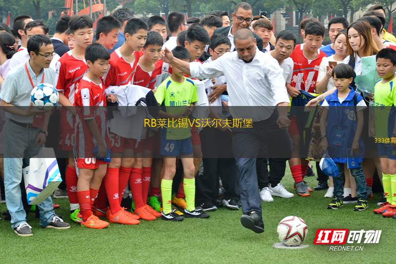 RB萊比錫VS沃爾夫斯堡