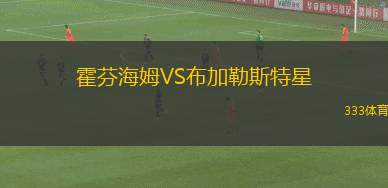 霍芬海姆VS布加勒斯特星