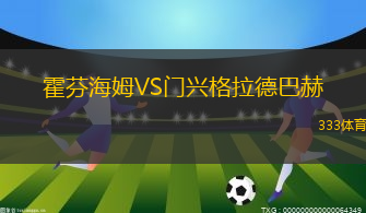 霍芬海姆VS門興格拉德巴赫