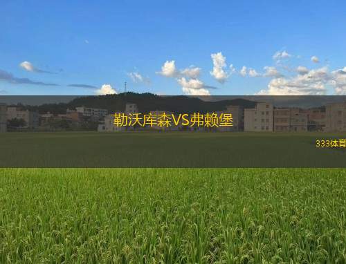 勒沃庫森VS弗賴堡