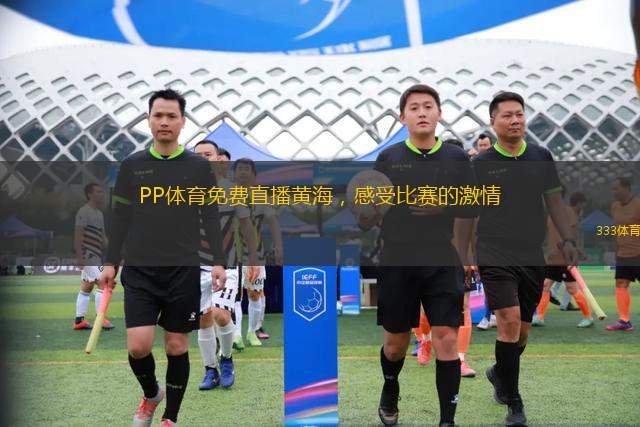 PP體育免費直播黃海，感受比賽的激情