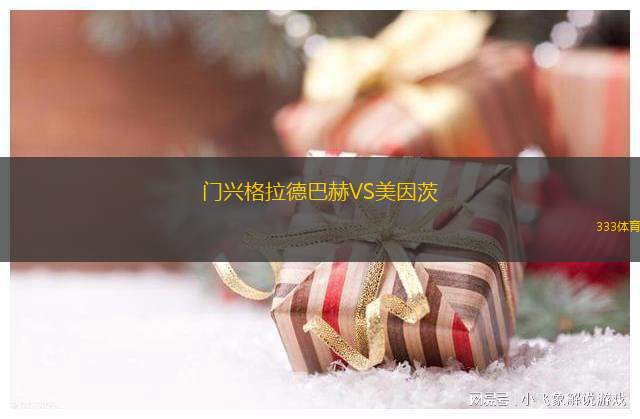 門興格拉德巴赫VS美因茨