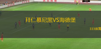 拜仁慕尼黑VS海德堡