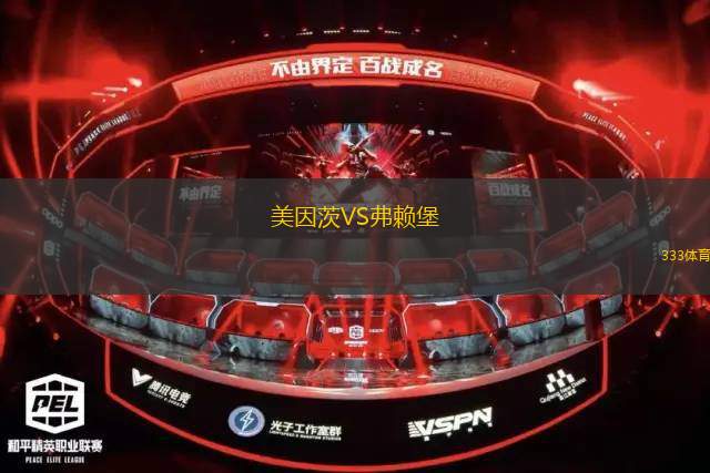 美因茨VS弗賴堡