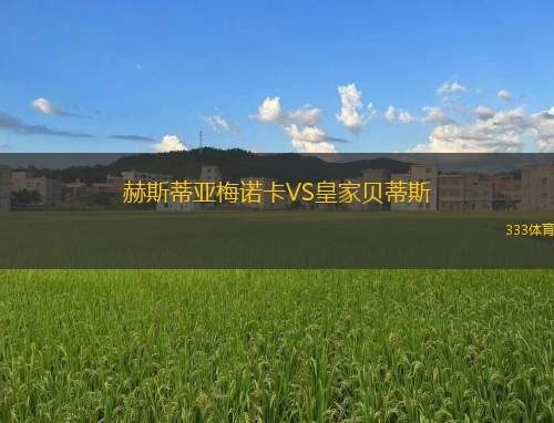 赫斯蒂亞梅諾卡VS皇家貝蒂斯