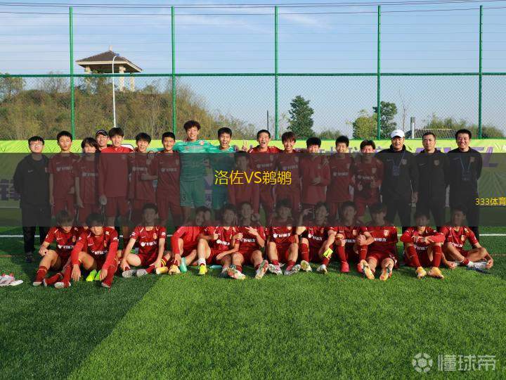 洛佐VS鵜鶘