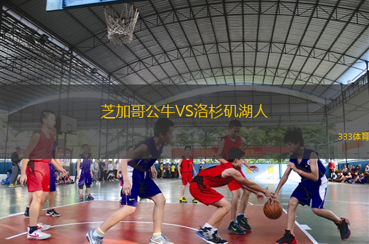 芝加哥公牛VS洛杉磯湖人