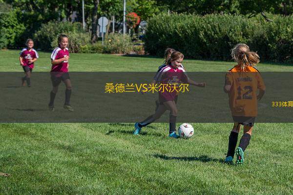 桑德蘭VS米爾沃爾