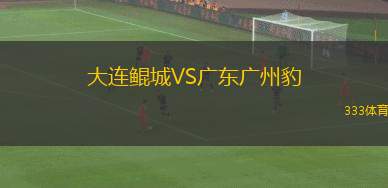 大連鯤城VS廣東廣州豹