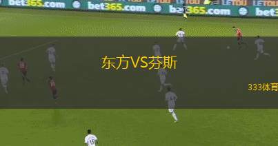 東方VS芬斯