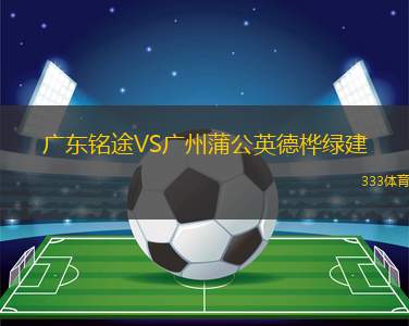 廣東銘途VS廣州蒲公英德樺綠建